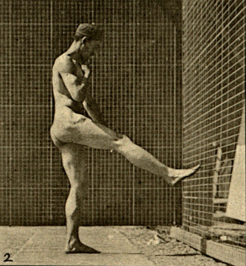 A sepia toned image from 1887 of a nude male figure lifting his right leg using his psoas and rectus femoris muscles to do so.